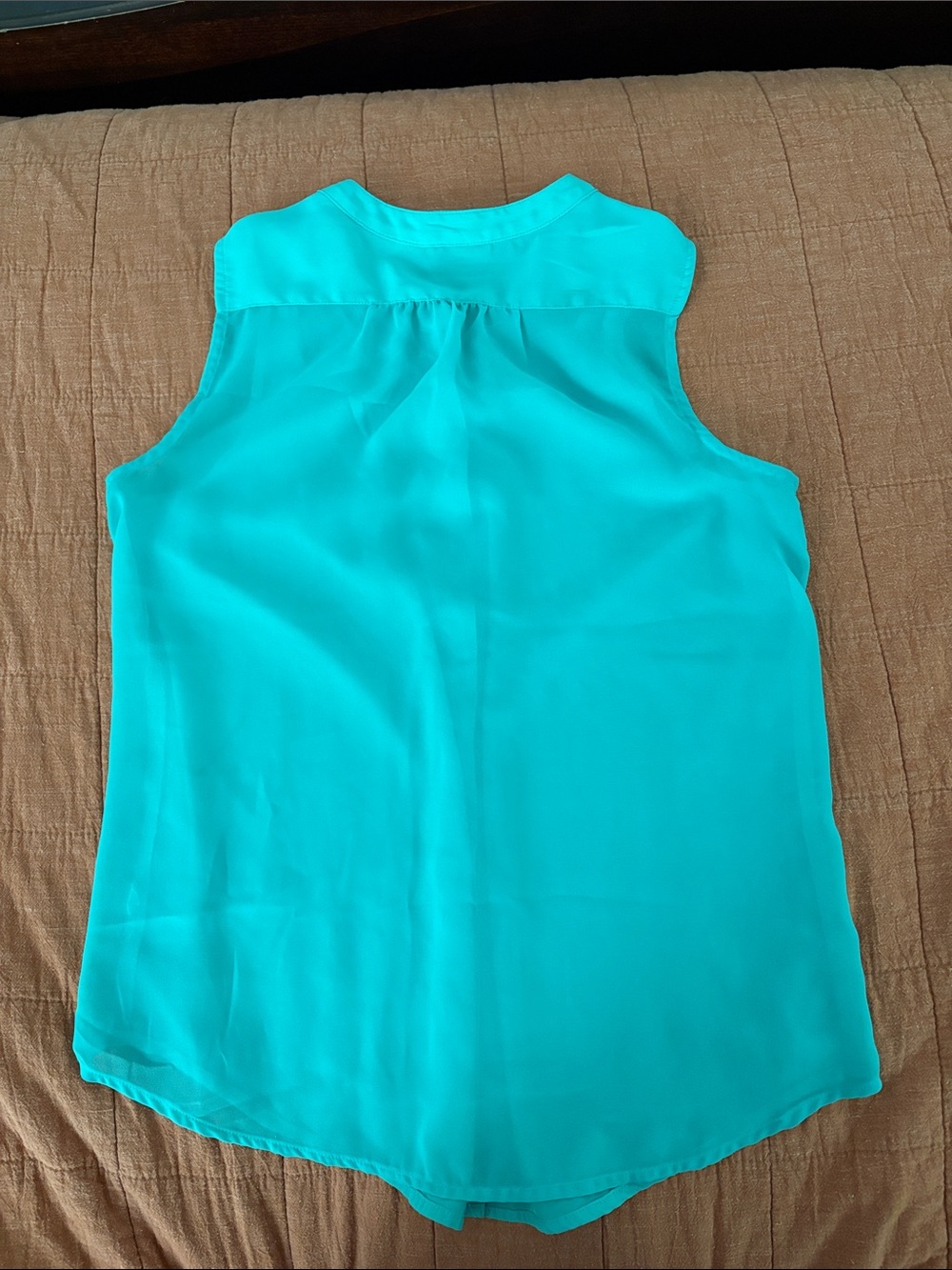 American Eagle Outfitters Teal Sleeveless Button-Front Camisole - Picture 4 of 4